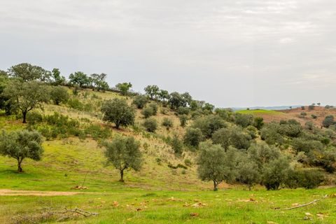 Farm i Serpa, Beja, Serpa - € 199.000 | Ref: 10631 - foto 21