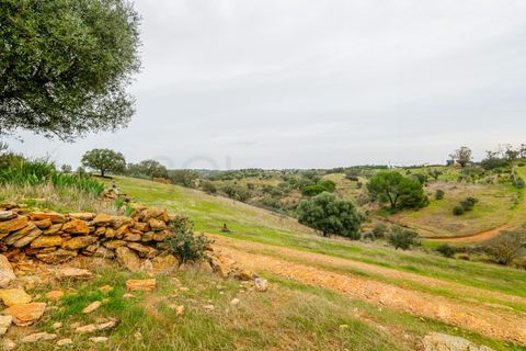 Farm i Serpa, Beja, Serpa - € 199.000 | Ref: 10631 - foto 22
