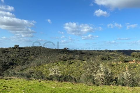 Farm i Serpa, Beja, Serpa - € 199.000 | Ref: 10631 - foto 25
