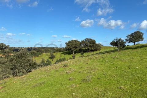 Farm i Serpa, Beja, Serpa - € 199.000 | Ref: 10631 - foto 26