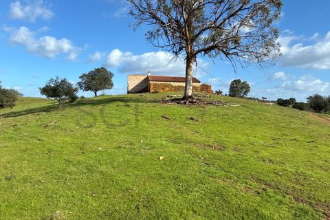 Farm i Serpa, Beja, Serpa - € 199.000 | Ref: 10631 - foto 27