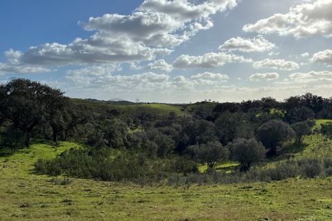 Farm i Serpa, Beja, Serpa - € 199.000 | Ref: 10631 - foto 28
