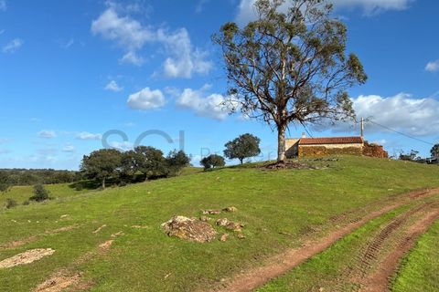 Farm i Serpa, Beja, Serpa - € 199.000 | Ref: 10631 - foto 30