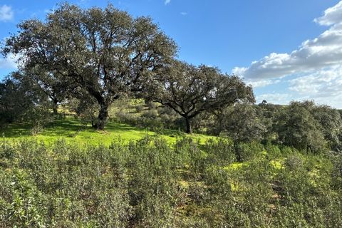 Farm i Serpa, Beja, Serpa - € 199.000 | Ref: 10631 - foto 31