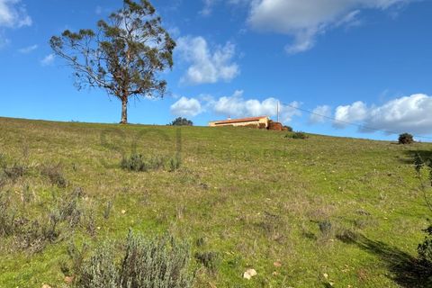 Farm i Serpa, Beja, Serpa - € 199.000 | Ref: 10631 - foto 33
