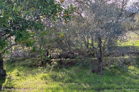 Farm i Serpa, Beja, Serpa - € 199.000 | Ref: 10631 - foto 34