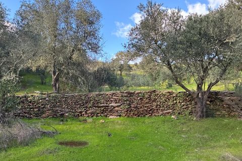 Farm i Serpa, Beja, Serpa - € 199.000 | Ref: 10631 - foto 35