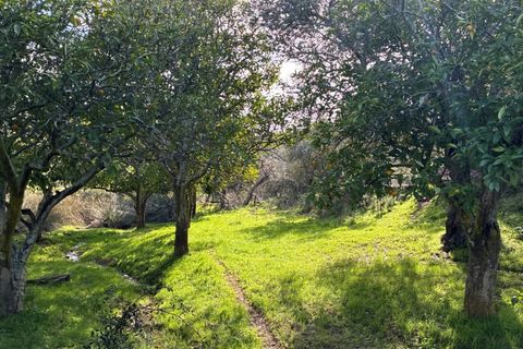 Farm i Serpa, Beja, Serpa - € 199.000 | Ref: 10631 - foto 36