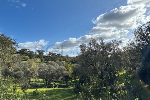 Farm i Serpa, Beja, Serpa - € 199.000 | Ref: 10631 - foto 37