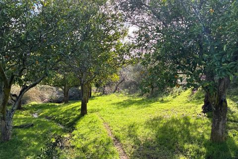 Farm i Serpa, Beja, Serpa - € 199.000 | Ref: 10631 - foto 38