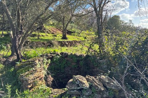 Farm i Serpa, Beja, Serpa - € 199.000 | Ref: 10631 - foto 40