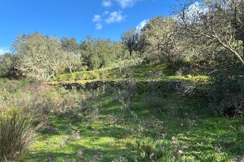 Farm i Serpa, Beja, Serpa - € 199.000 | Ref: 10631 - foto 41
