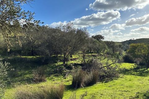 Farm i Serpa, Beja, Serpa - € 199.000 | Ref: 10631 - foto 42