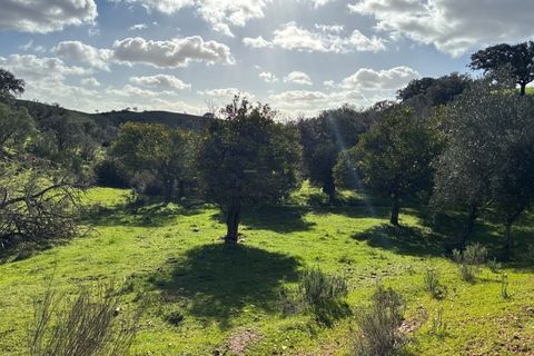 Farm i Serpa, Beja, Serpa - € 199.000 | Ref: 10631 - foto 43