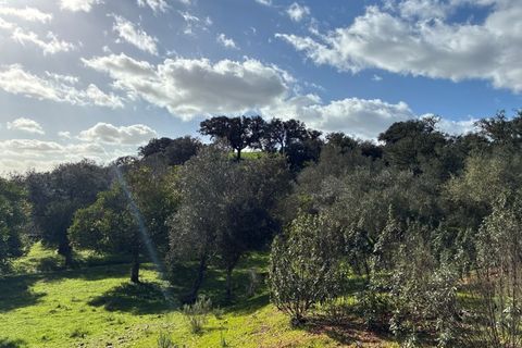 Farm i Serpa, Beja, Serpa - € 199.000 | Ref: 10631 - foto 44
