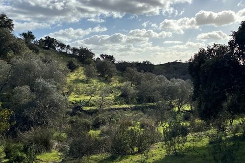Farm i Serpa, Beja, Serpa - € 199.000 | Ref: 10631 - foto 45
