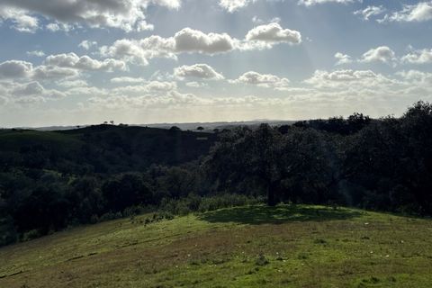 Farm i Serpa, Beja, Serpa - € 199.000 | Ref: 10631 - foto 46