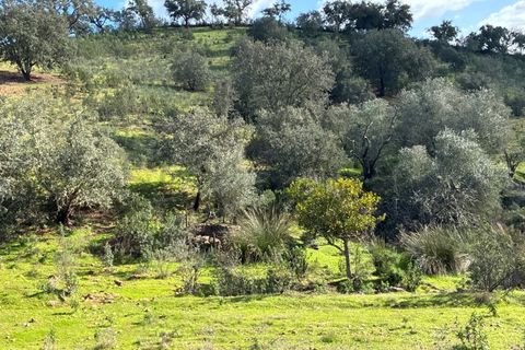 Farm i Serpa, Beja, Serpa - € 199.000 | Ref: 10631 - foto 49