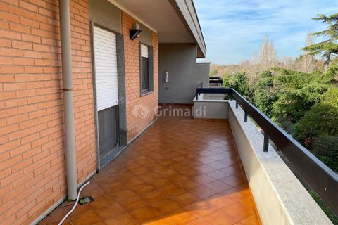 Villa a Anzio, Rome, Anzio - € 1.200/mes | Ref: SV157 - foto 23