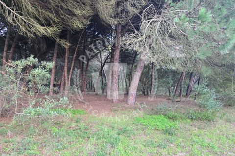 Helårsgrund i Sines, Setubal, Sines - € 600.000 | Ref: PT03T-0691 - foto 1