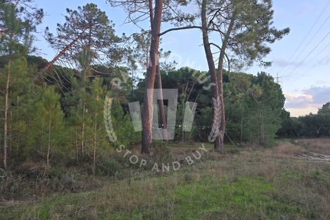 Helårsgrund i Sines, Setubal, Sines - € 600.000 | Ref: PT03T-0691 - foto 2