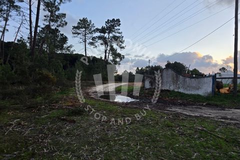 Helårsgrund i Sines, Setubal, Sines - € 600.000 | Ref: PT03T-0691 - foto 3