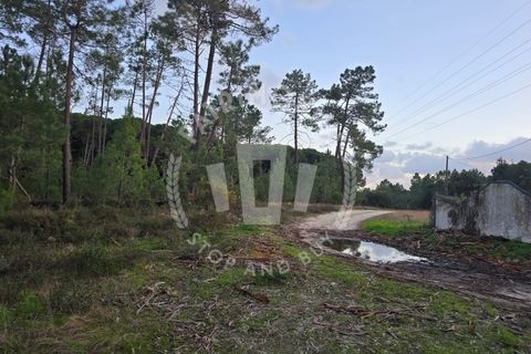 Helårsgrund i Sines, Setubal, Sines - € 600.000 | Ref: PT03T-0691 - foto 6