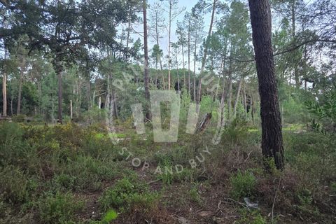 Helårsgrund i Sines, Setubal, Sines - € 600.000 | Ref: PT03T-0691 - foto 7