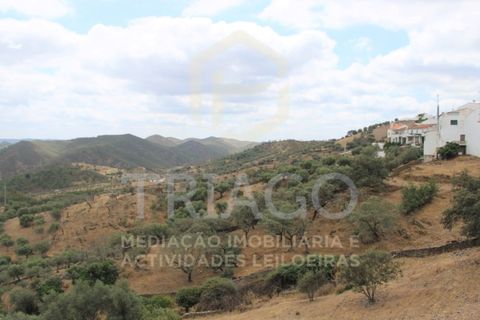 Villa a Barrancos, Beja, Barrancos - € 15.000 | Ref: CAS_683 - foto 20