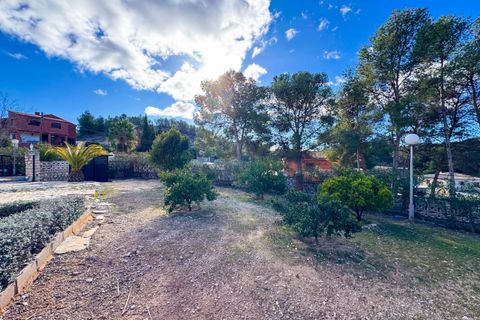 Villa i Elda, Alicante, Elda - € 495.000 | Ref: ATV-4516 - foto 8