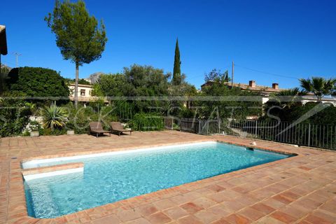 Finca i Pedreguer, Alicante - foto 3