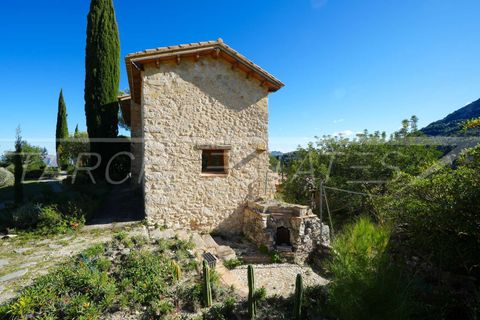 Finca i Pedreguer, Alicante - foto 4