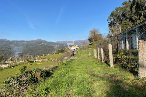 Helårsgrund i Arcos de Valdevez, Viana do Castelo, Arcos de Valdevez - € 42.500 | Ref: AV4825 - foto 13