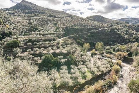 Villa i Comares, Malaga, Comares - € 295.000 | Ref: CP776 - foto 12
