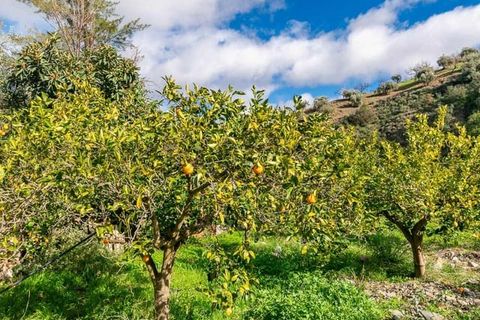 Villa i Comares, Malaga, Comares - € 295.000 | Ref: CP776 - foto 28