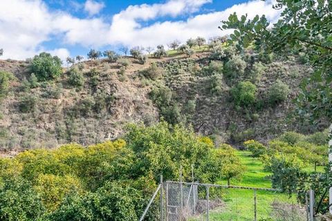 Villa i Comares, Malaga, Comares - € 295.000 | Ref: CP776 - foto 29