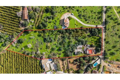 Helårsgrund i Tavira, Faro, Tavira - € 420.000 | Ref: 3503 - foto 2