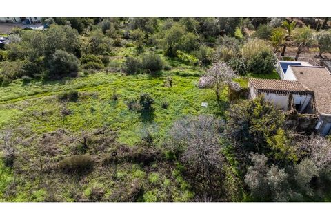 Helårsgrund i Tavira, Faro, Tavira - € 420.000 | Ref: 3503 - foto 4