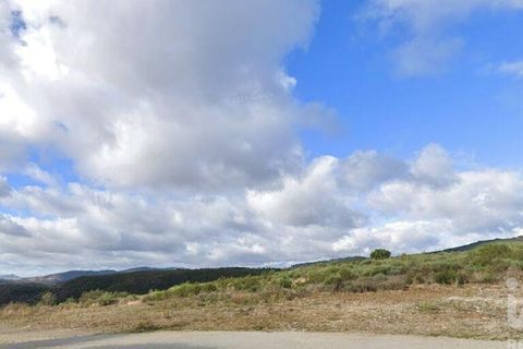 Terra a Torre de Moncorvo, Braganca, Torre de Moncorvo - € 130.000 | Ref: 786270 - foto 2