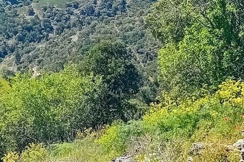 Terra a Torre de Moncorvo, Braganca, Torre de Moncorvo - € 130.000 | Ref: 786270 - foto 3