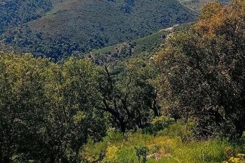 Terra a Torre de Moncorvo, Braganca, Torre de Moncorvo - € 130.000 | Ref: 786270 - foto 4