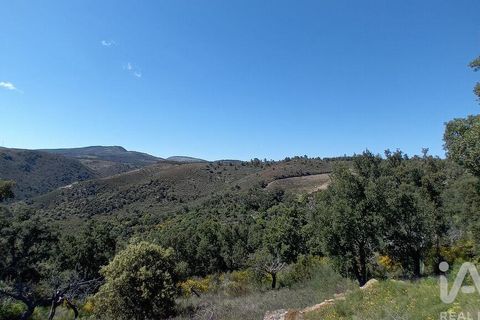 Terra a Torre de Moncorvo, Braganca, Torre de Moncorvo - € 130.000 | Ref: 786270 - foto 6