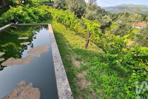 Terra a Vila Verde, Braga, Vila Verde - € 79.000 | Ref: 811859 - foto 8