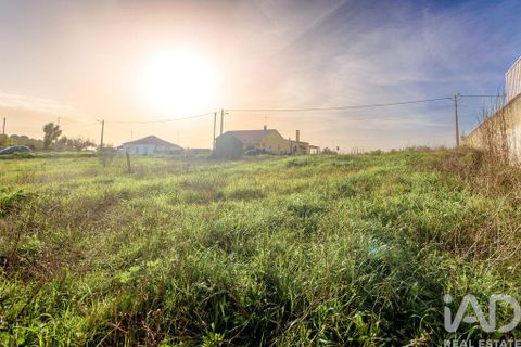 Terra a Santarem, Santarem, Santarem - € 60.000 | Ref: 799321 - foto 2