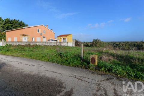 Terra a Santarem, Santarem, Santarem - € 60.000 | Ref: 799321 - foto 3