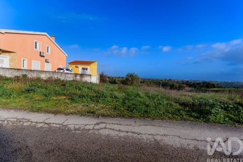 Terra a Santarem, Santarem, Santarem - € 60.000 | Ref: 799321 - foto 4