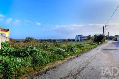 Terra a Santarem, Santarem, Santarem - € 60.000 | Ref: 799321 - foto 5