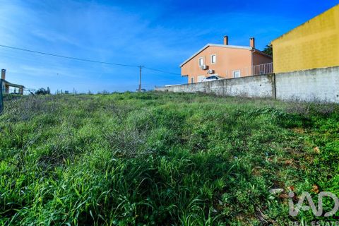 Terra a Santarem, Santarem, Santarem - € 60.000 | Ref: 799321 - foto 6
