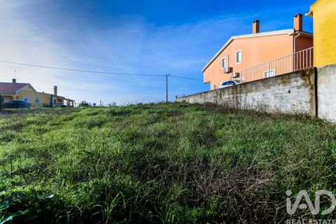 Terra a Santarem, Santarem, Santarem - € 60.000 | Ref: 799321 - foto 7