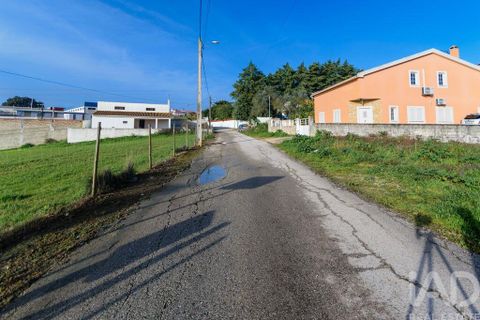 Terra a Santarem, Santarem, Santarem - € 60.000 | Ref: 799321 - foto 8